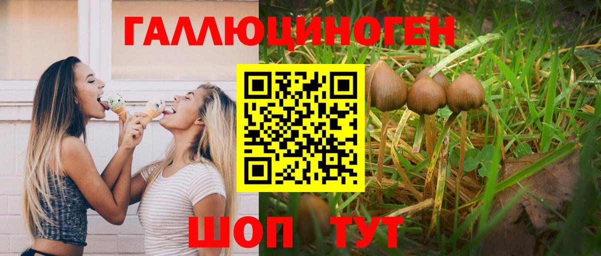 Муром  Псилоцибиновые грибы MAGIC MUSHROOMS  Вход с VPN 